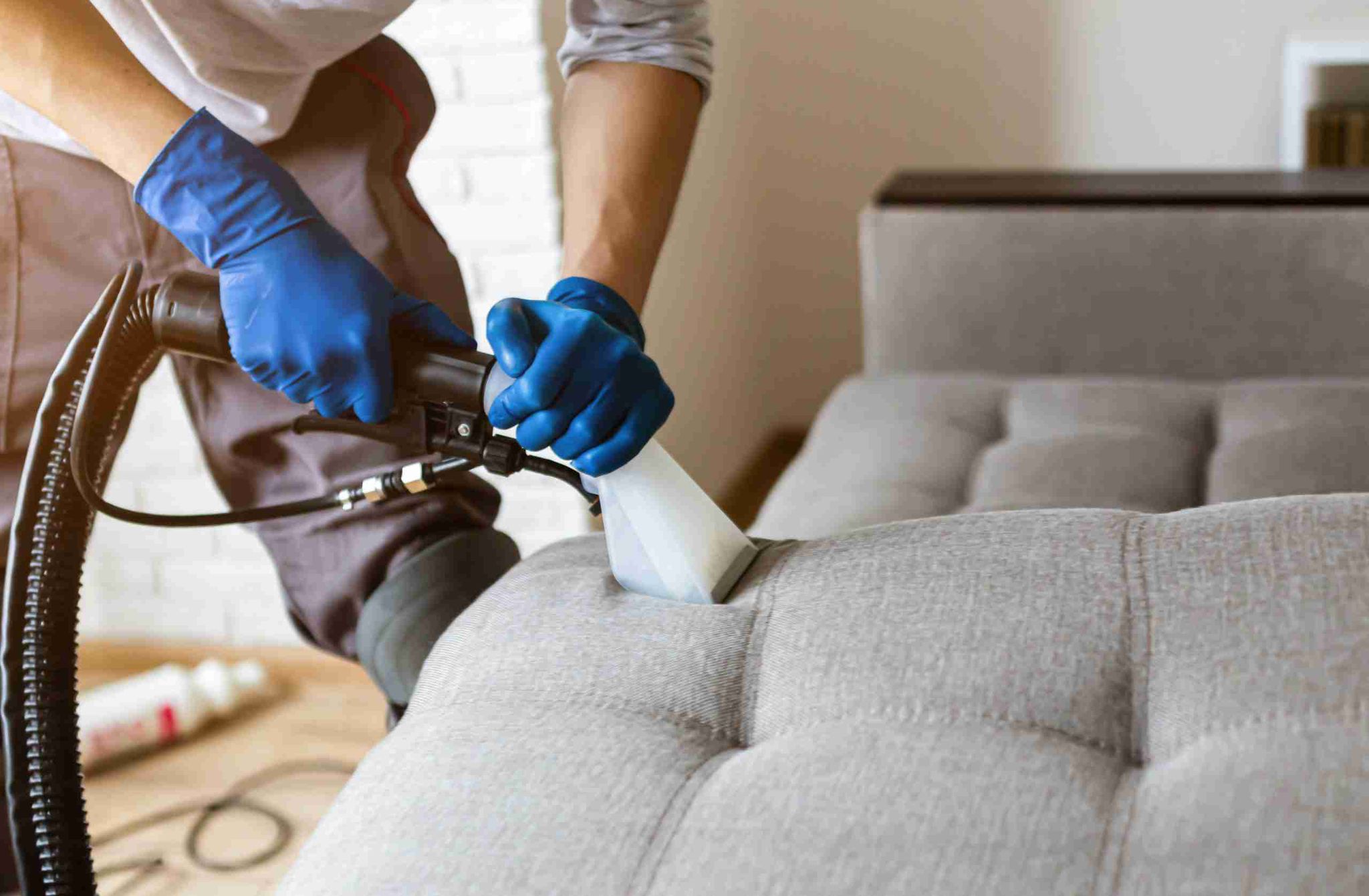 Professional Upholstery Cleaning Service